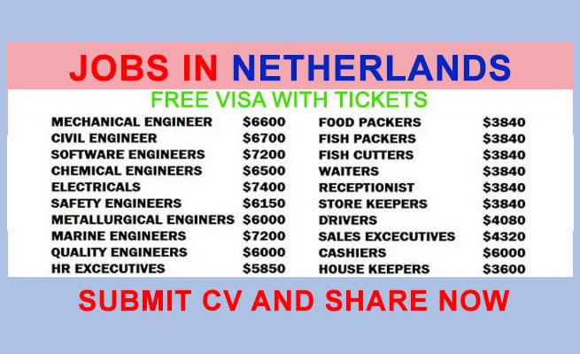 Lots of jobs in Netherlands for Africans in financial, engineering and IT sectors