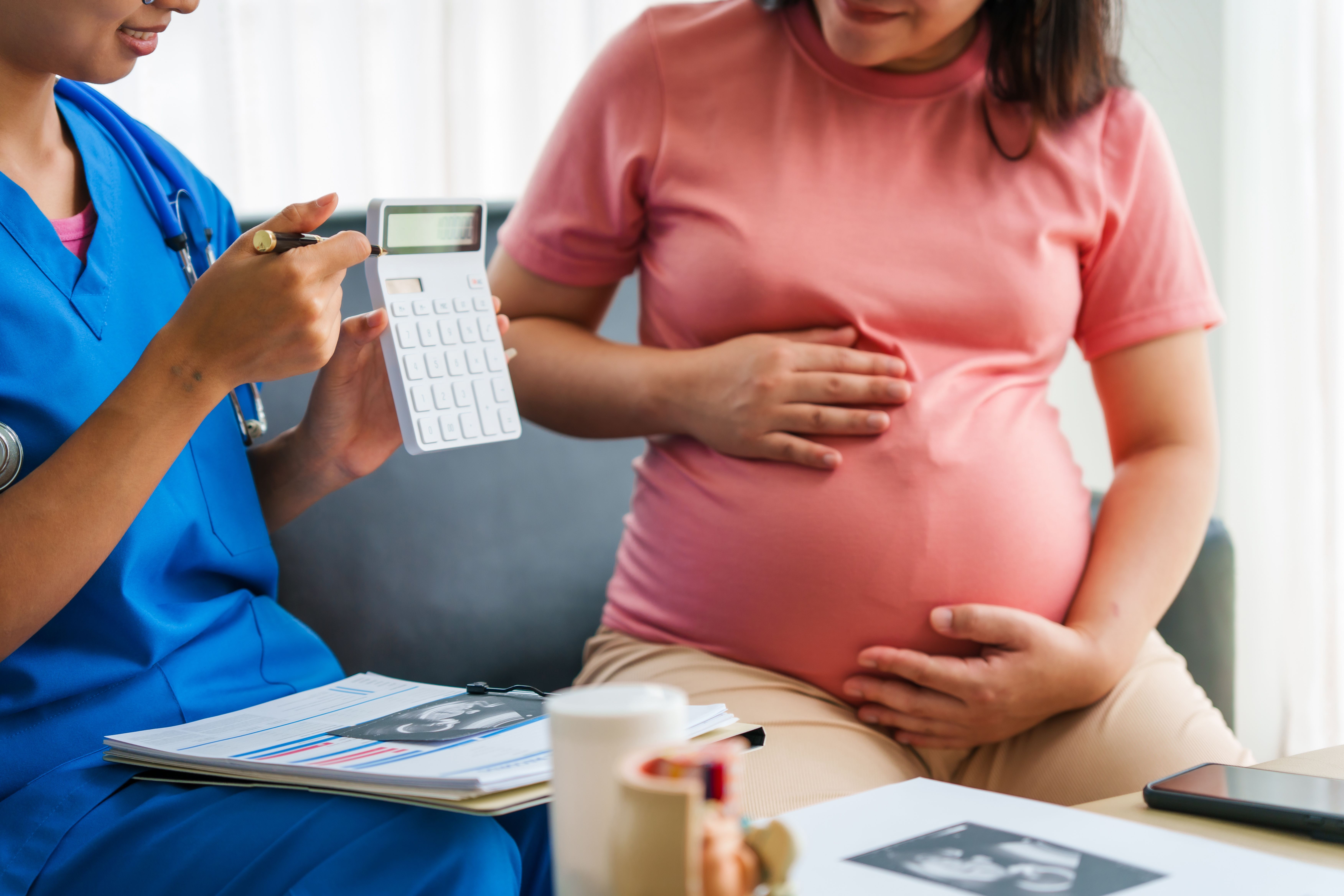 Financial Inequities in Maternity Care: Lessons From the Netherlands and US
